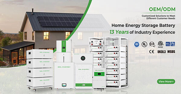 The Future of Energy Storage: BESS av GSL ENERGY