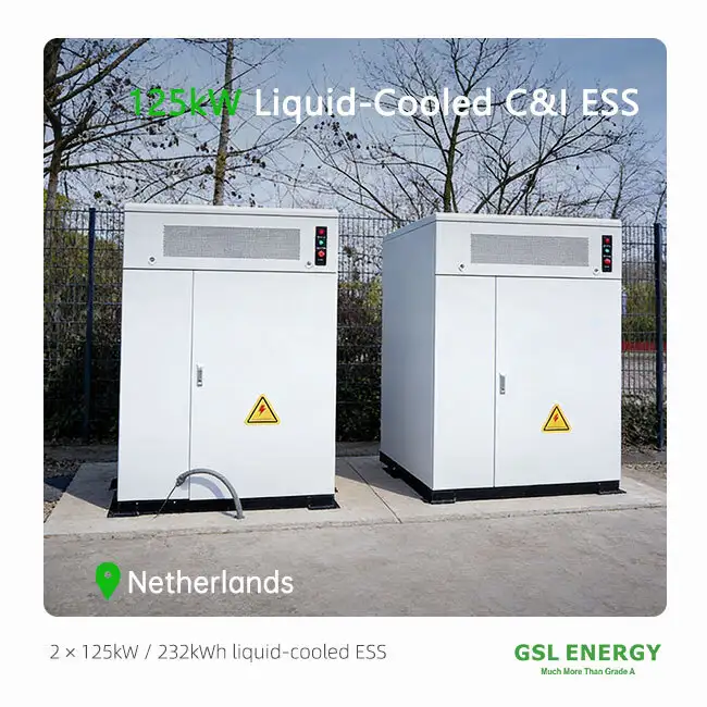 Progetto olandese commerciale di accumulo di energia | Installazione di un sistema di accumulo di energia per applicazioni commerciali e istituzionali (C&I) raffreddato a liquido, doppio da 125 kW