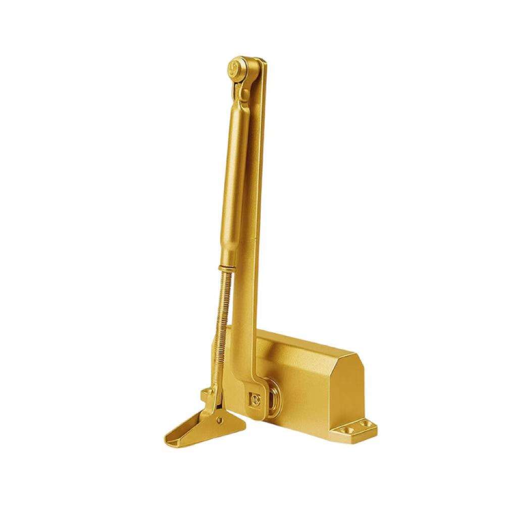 Fermeur de porte moderne à montage en applique THOMEI - Vitesse double réglable, capacité 60-80 kg, en alliage d'aluminium