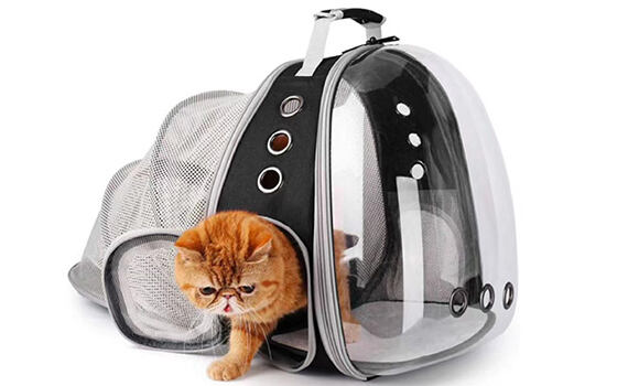 Pet Travel Carrier Bag Insight Trends