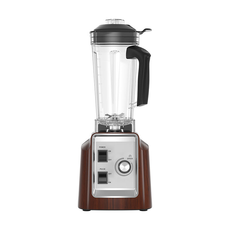 smoothie-Mixer HS-209