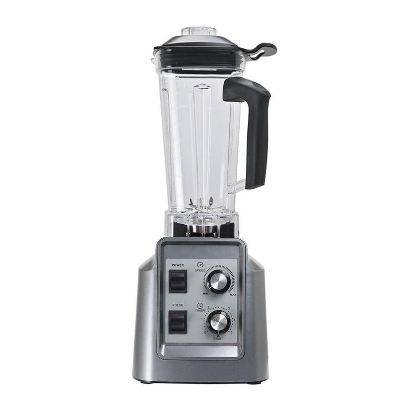 eis-Smoothie-Mixer HS-209D