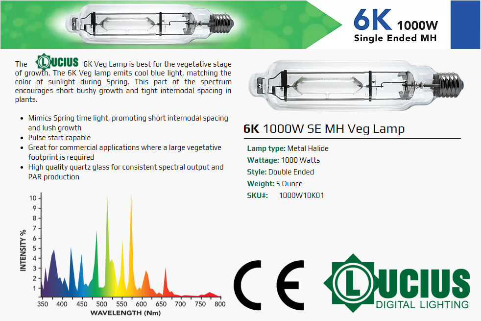 1000W Single Ended MH Lampe 6K Fabrik