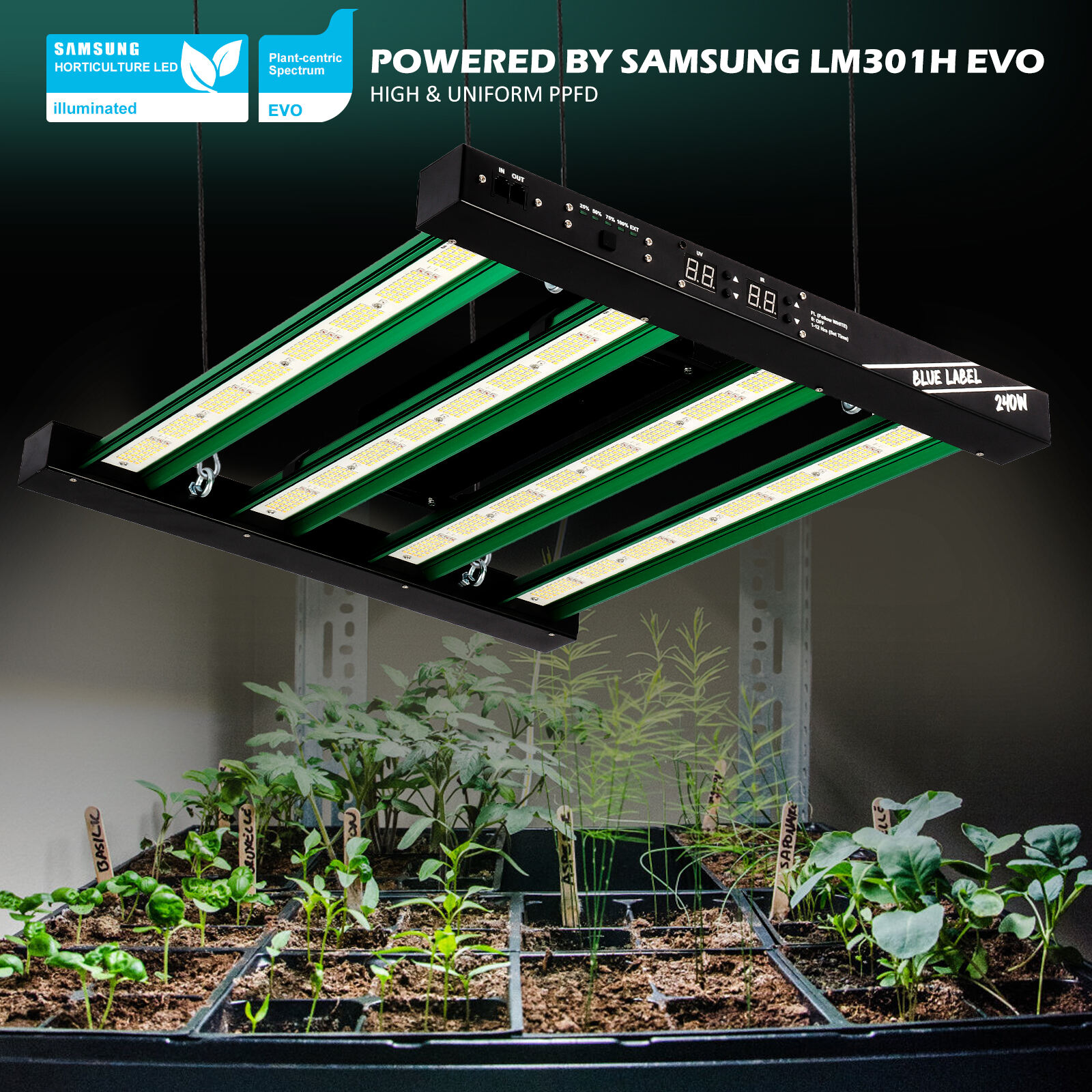 Lucius Blue label 240W LM 301H EVO LED Grow Light With UV IR