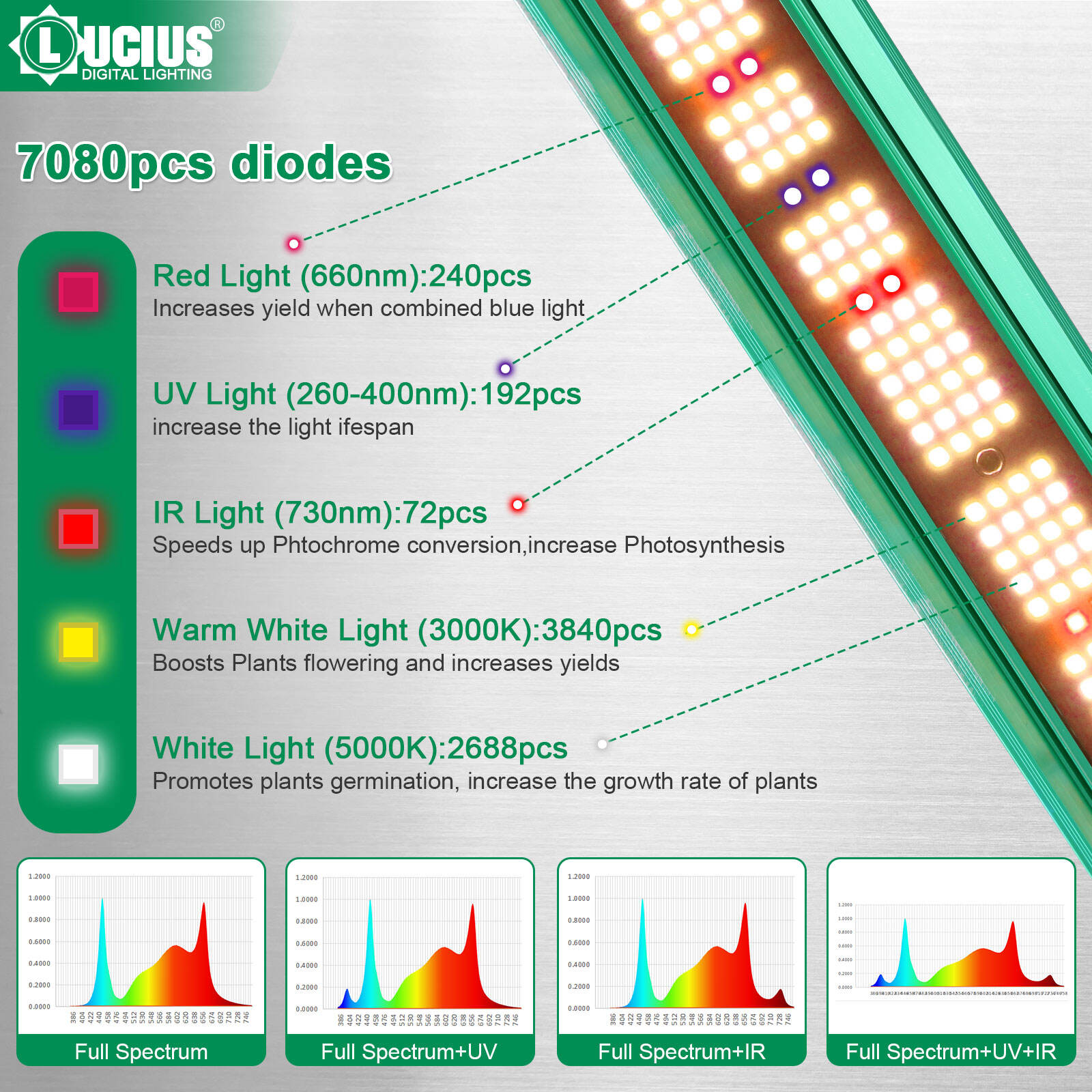 Lucius Blue label 1200W LM 301H EVO LED Grow Light With UV IR