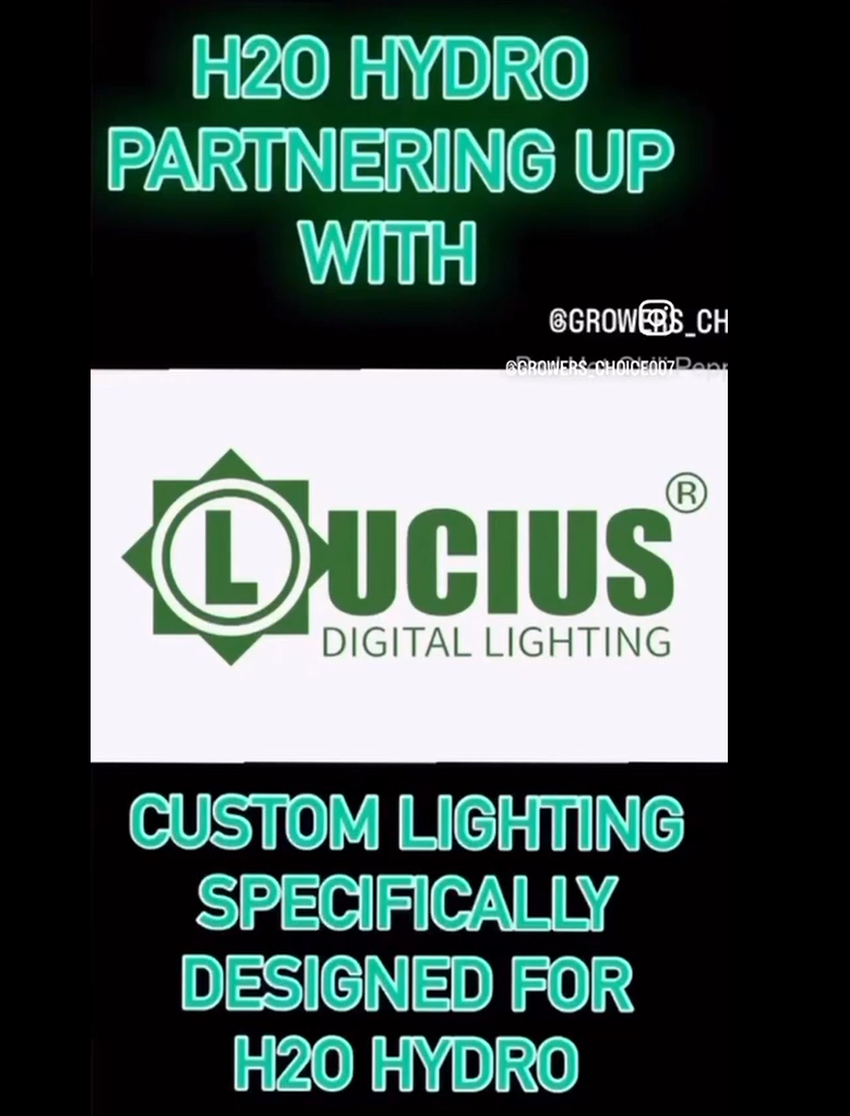 Check out this awesome video from a happy customer using our Grow Light! Great results in action!  Swipe to watch!