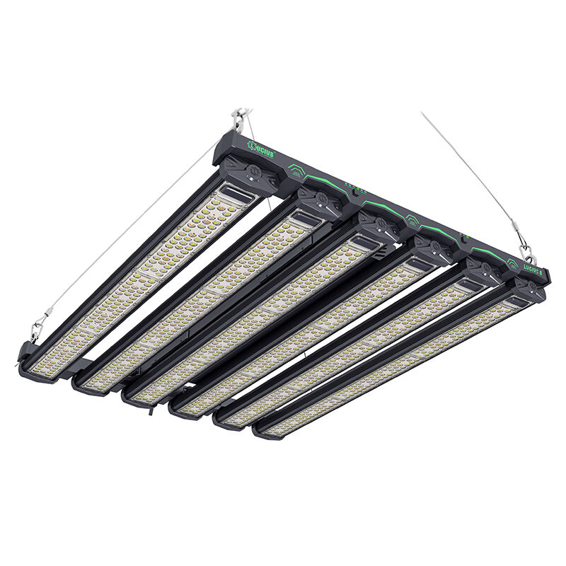 Lucius 8 Gold Label 800w LM 301H EVO High Intensity LED Grow Light