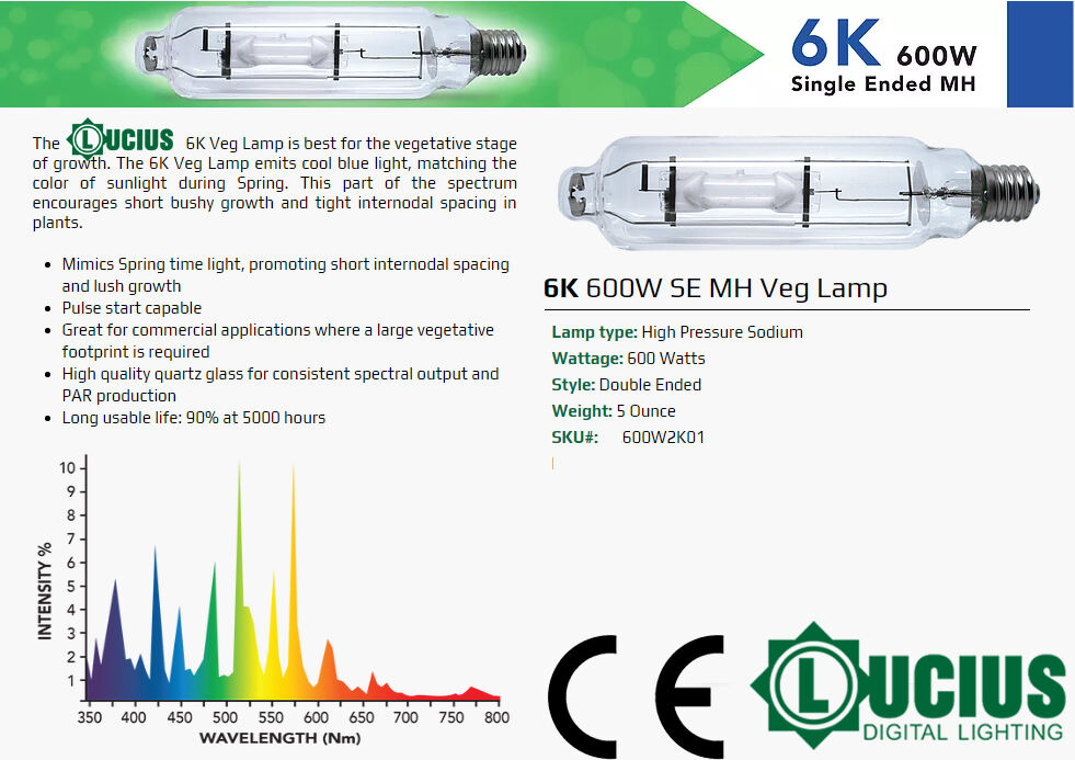 Detalles de la lámpara MH de un solo extremo de 600 W 6K