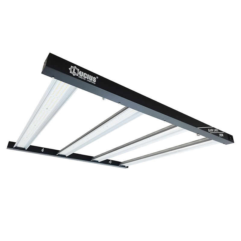 Lámpara de cultivo LED Lucius 2 Black Label 240W LM 301H EVO