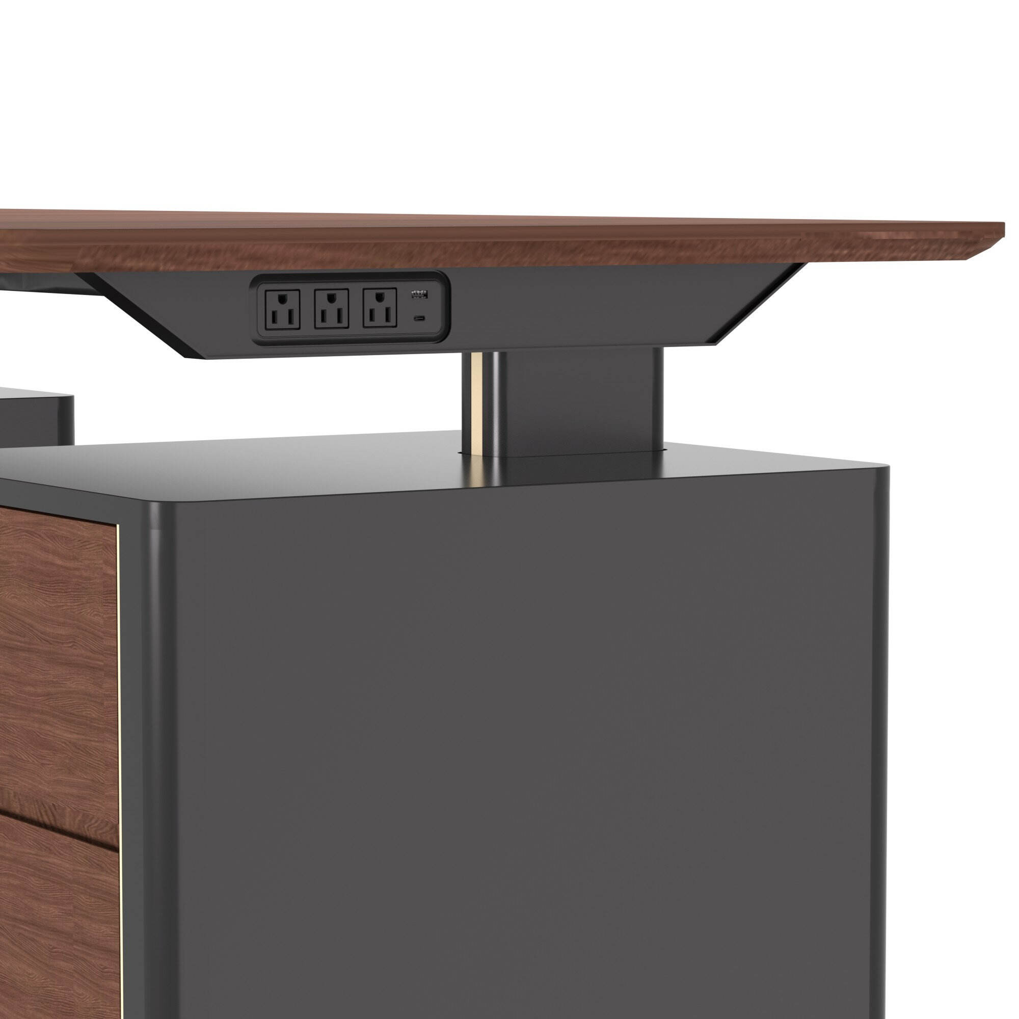 Dual Motor Height Adjustable Black Walnut Wooden Desk with USB & 3 ...