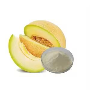 Food-Grade-Cantaloupe-Extract-Hami-Melon-Fruit-Juice-Orange-Frozen-Dried-Cantaloupe-Juice-Powder.jpg_300x300.jpg