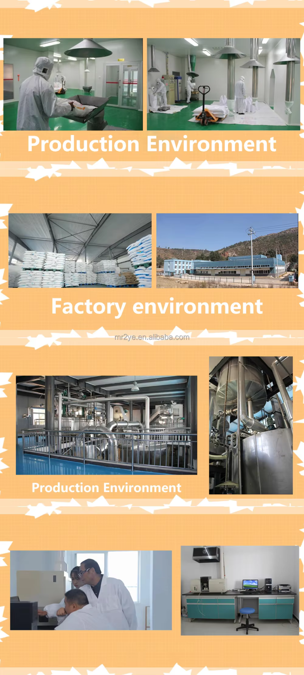 Industrial Grade Corn Modified Starch High Quality Factory Supply in Powder Form Sweet Taste for Ingredients Packaged in Bag manufacture