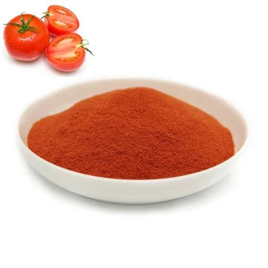Delicious-Tomato-Seasoning-Powder-for-Enhanced-Flavor.jpg