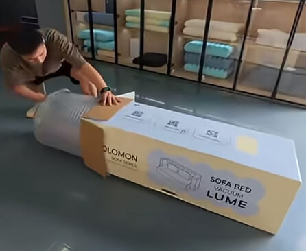 Full Foam Sofa Bed with Vacuum Package- Space-Saving Comfort, Delivered Smartly