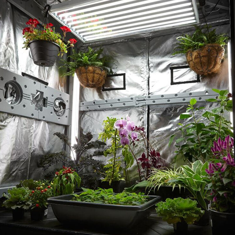 grow tent for flowers.jpg