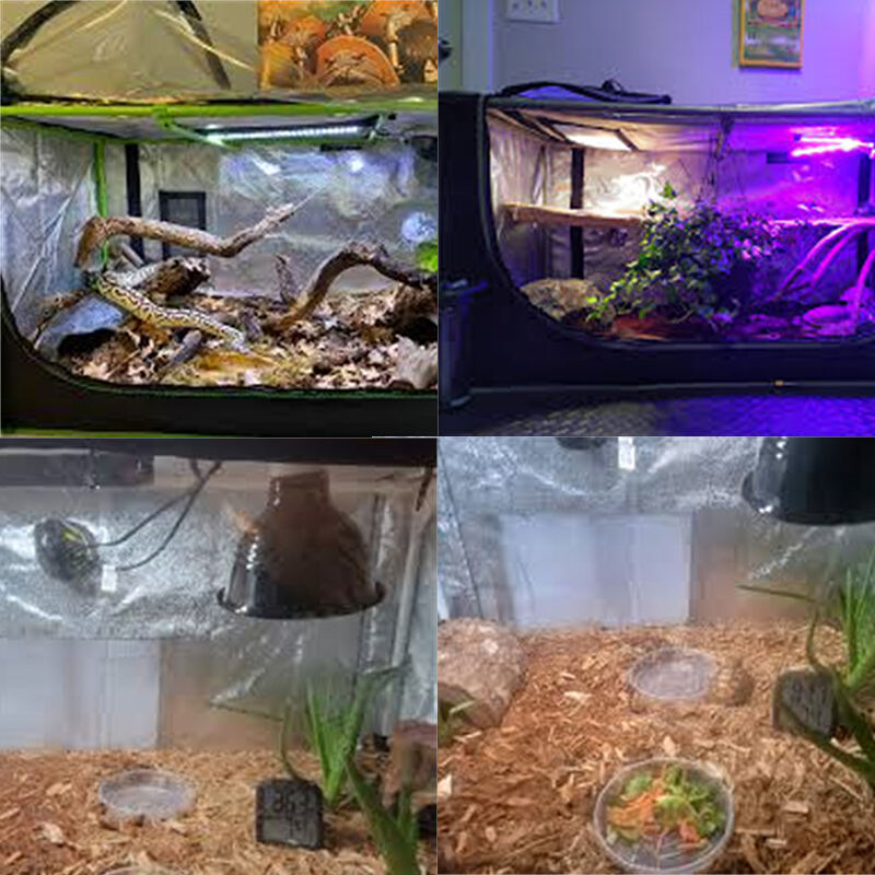 grow tent for pet 3.jpg