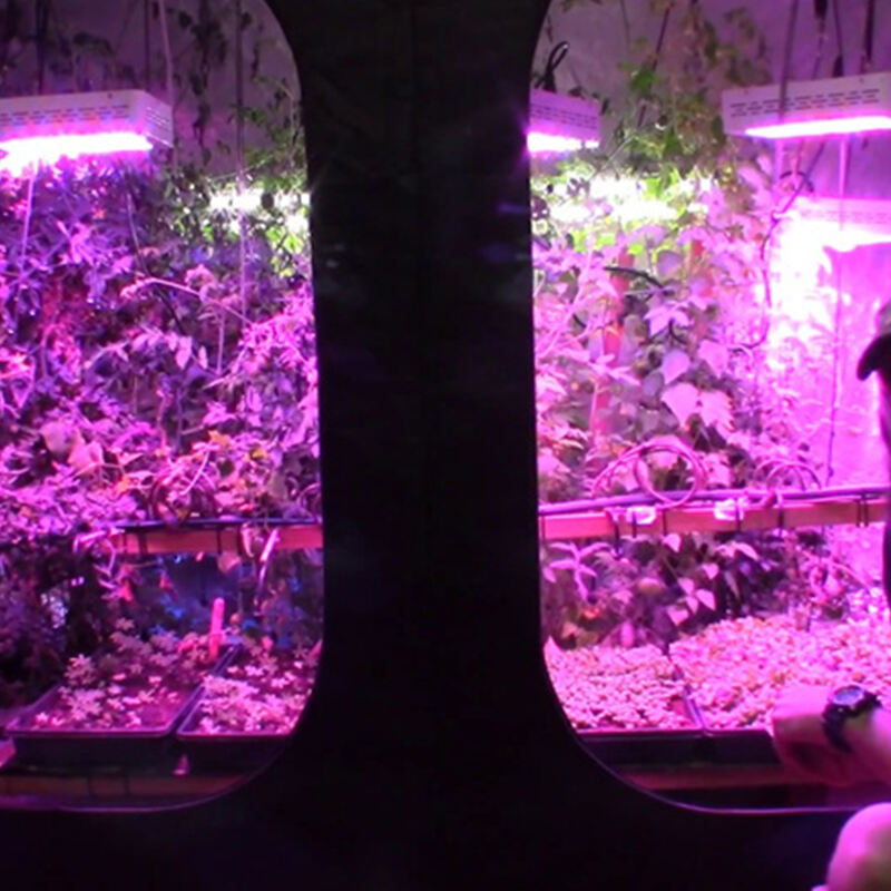 grow tent for vegetable 3.jpg