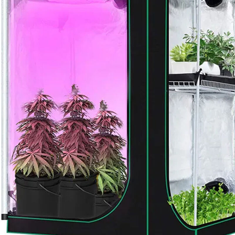 grow tent for cannabis_副本.jpg