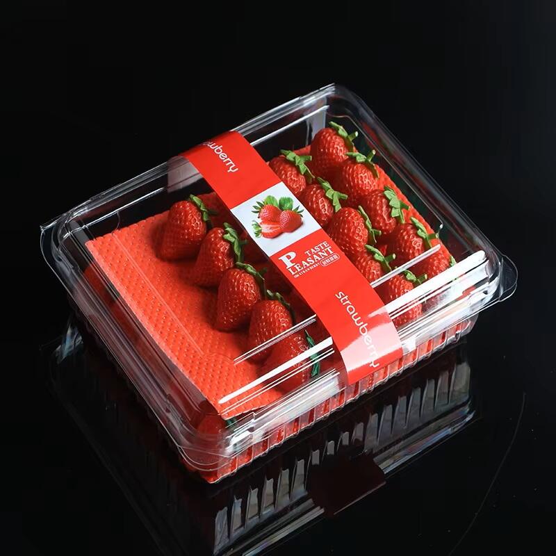 Best 8 Absorbent Pads For Fruit Manufacturer In Turkey