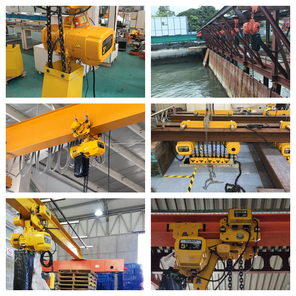 ALLMAN Electric Chain Hoist