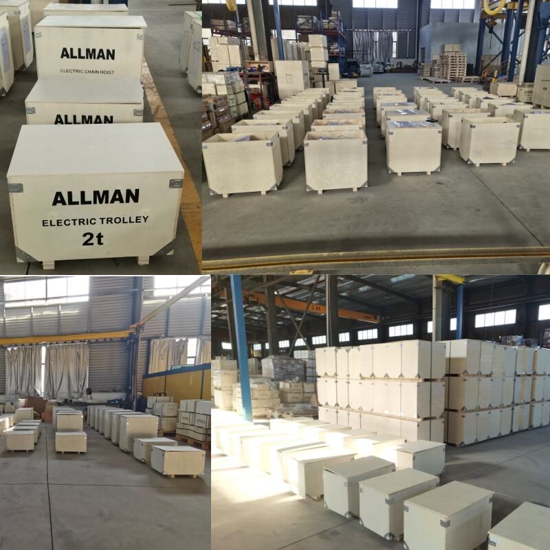 1ton industrial hoist-packing.jpg