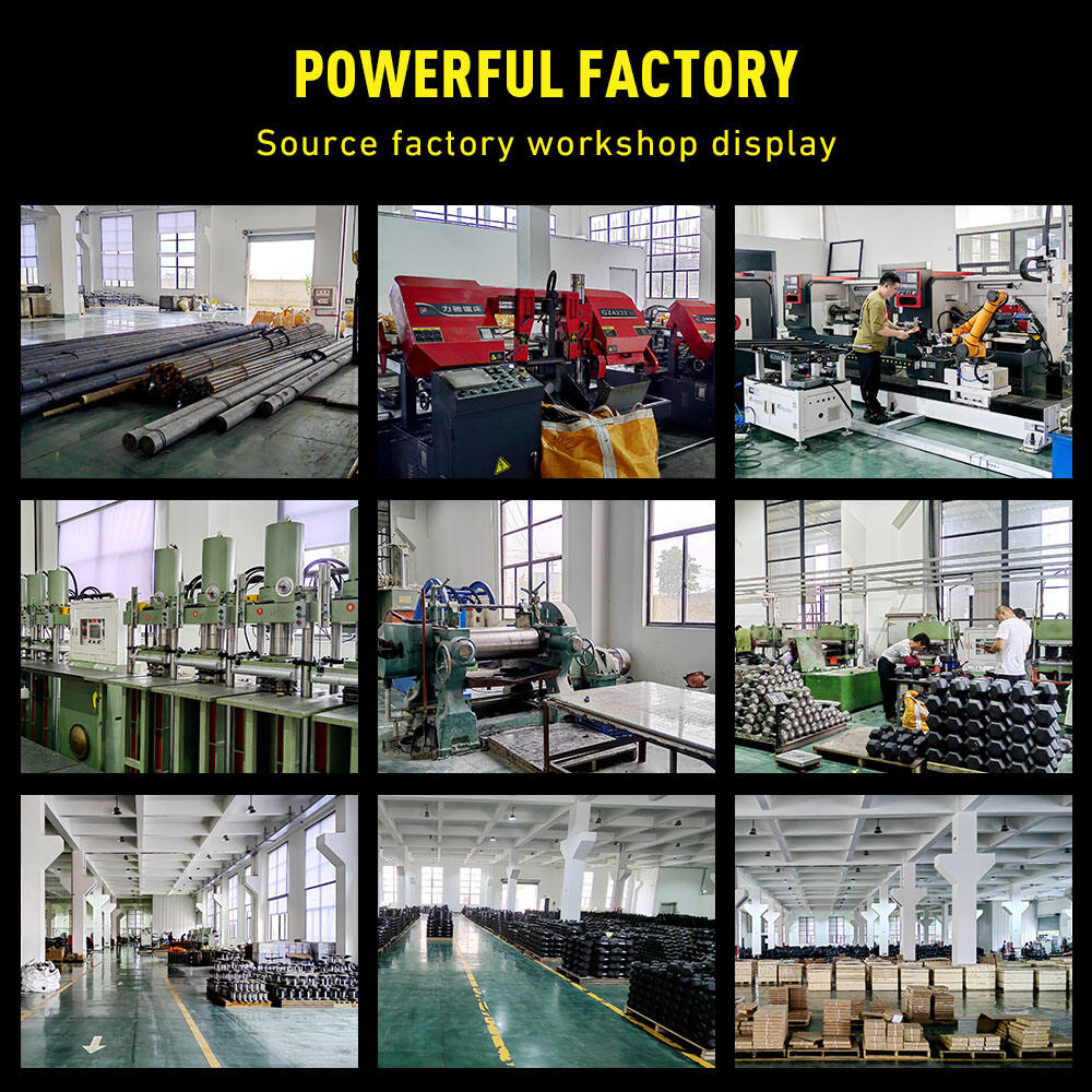 التنوع الوظيفي والتدريب الوظيفي