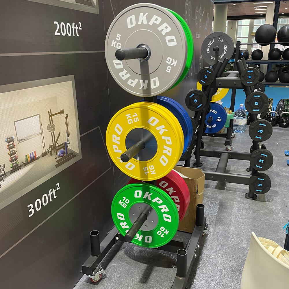 التنوع والتكيف مع التدريب