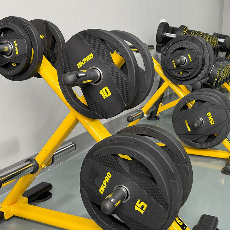 Adjustable Training Programs Enabled by Weight Plates