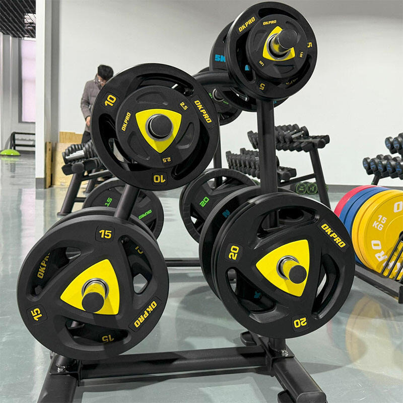 Adjustable Training Programs Enabled by Weight Plates