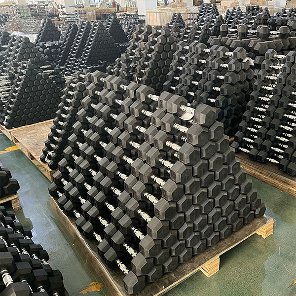 Why Do Wholesalers Focus on Supplying Gym Dumbbells?