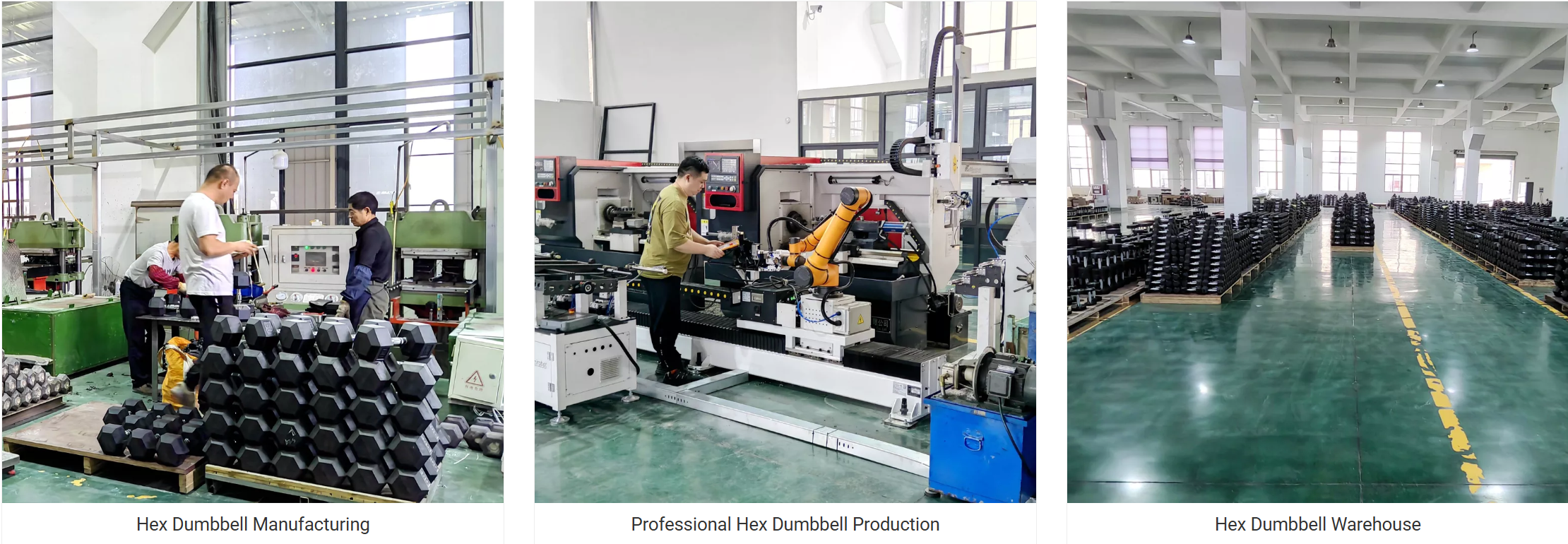 Commercial -Gym -Dumbbell.png