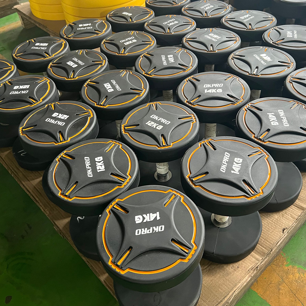 Haltères de gymnase premium pour tous les niveaux de forme physique