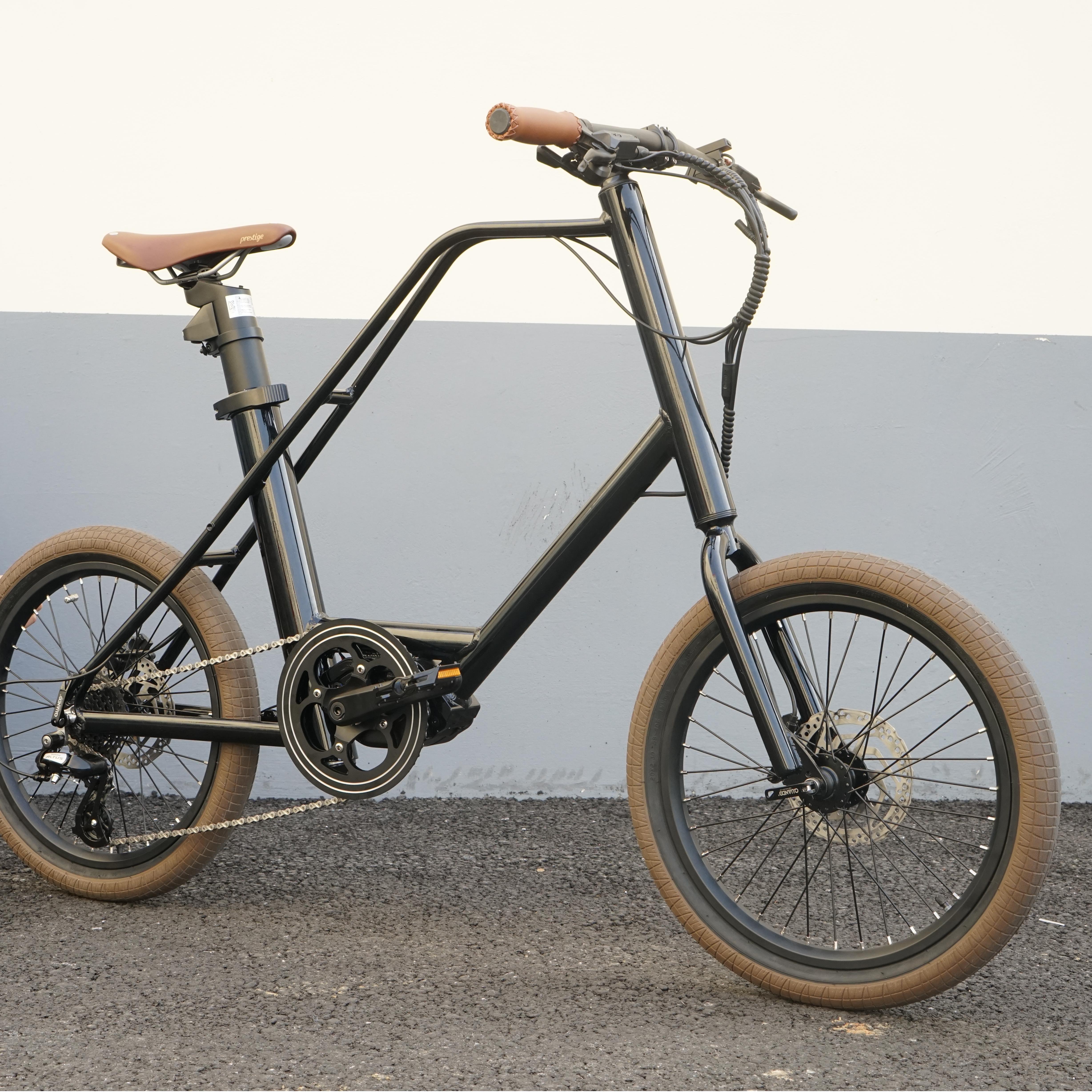 What Features Should Businesses Consider When Choosing a Cargo E-bike?