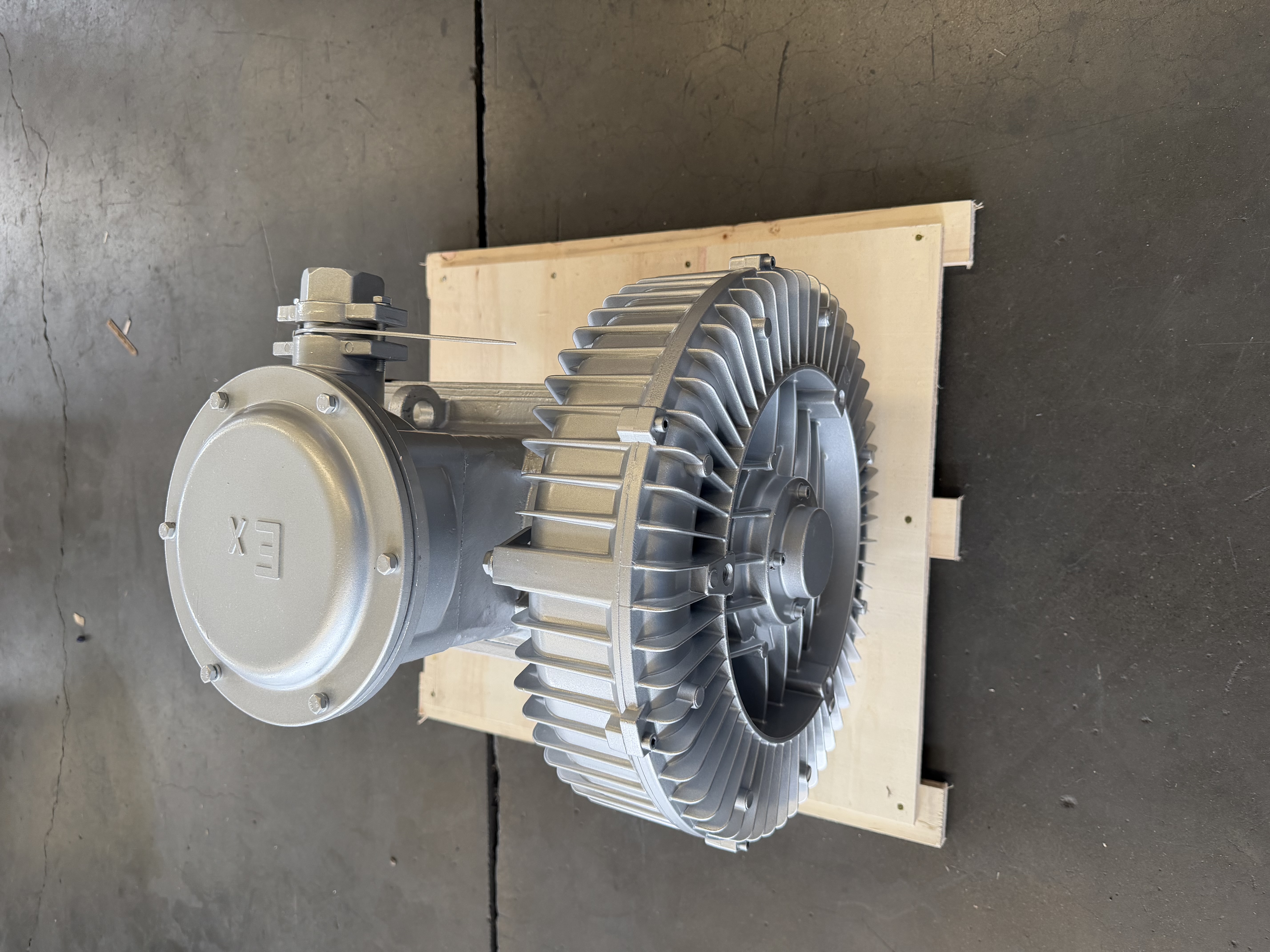Case Study: Custom Explosion-Proof Side Channel Blower Secures Biogas Power Generation in Germany