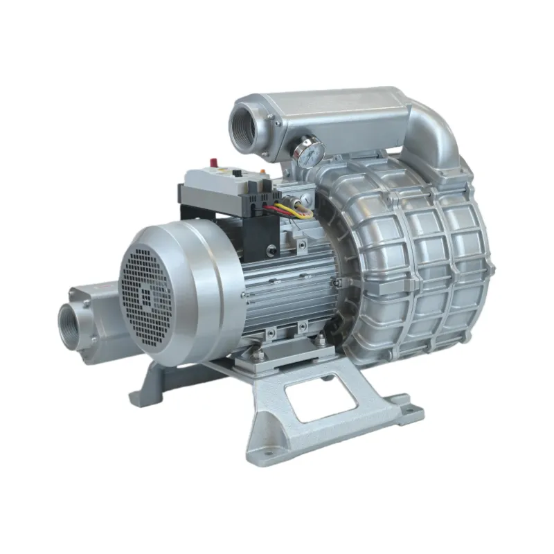 Wie lassen sich häufige Druckverlustprobleme bei Vakuumpumpen beheben?