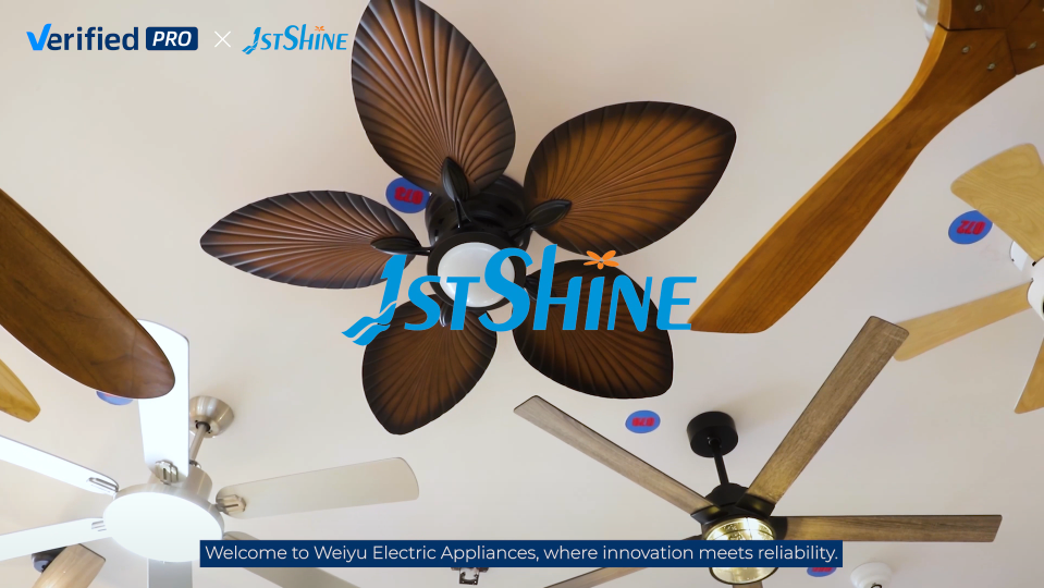 1stshine Industrial Company Limited