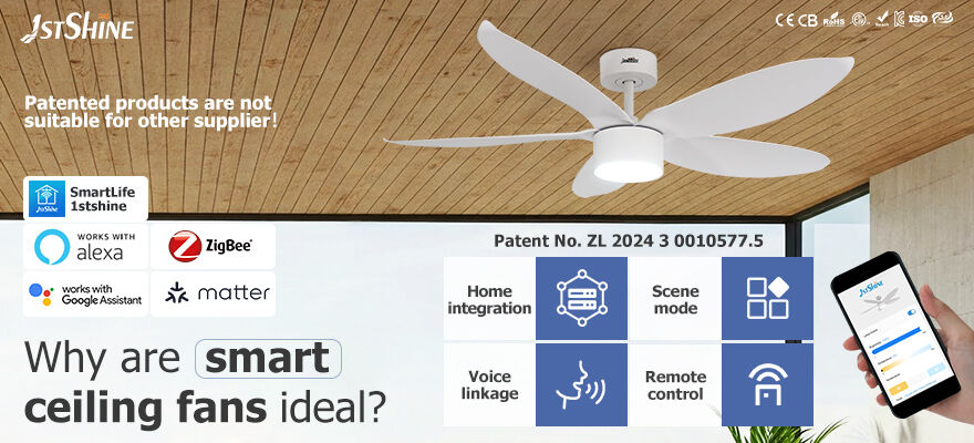 Elevate Your Space with Our Small Room Ceiling Fans