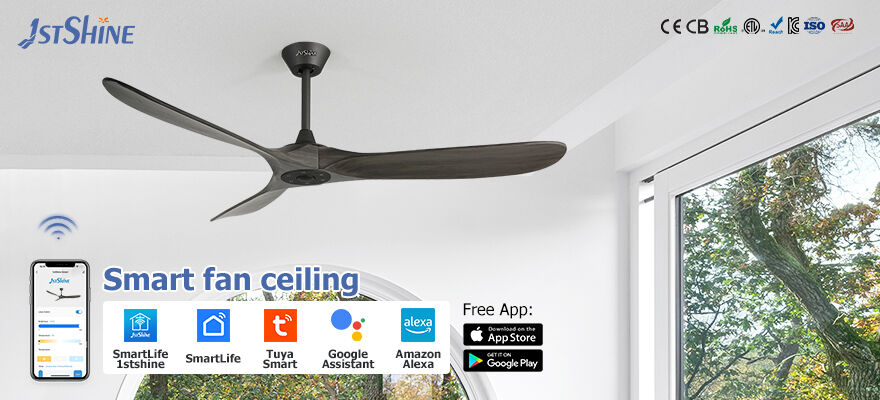 Un design innovant allié à la fonctionnalité