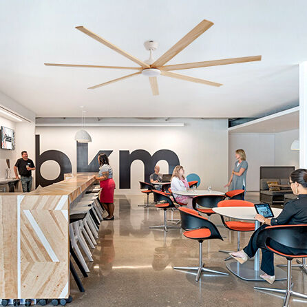 European Small Business Focus