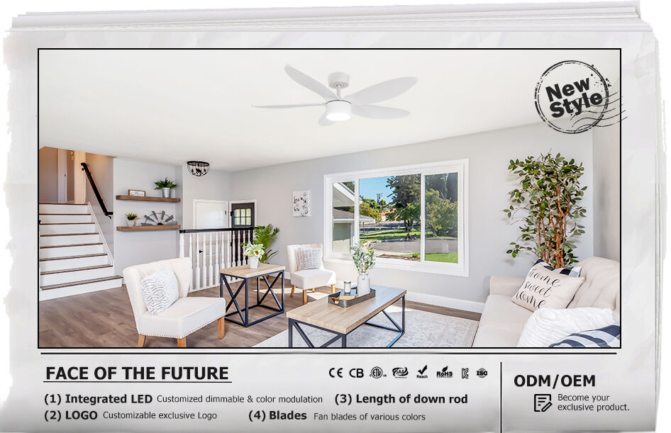 Public High School | Queensland, Australia