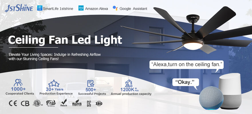 Conception durable pour un avenir plus vert