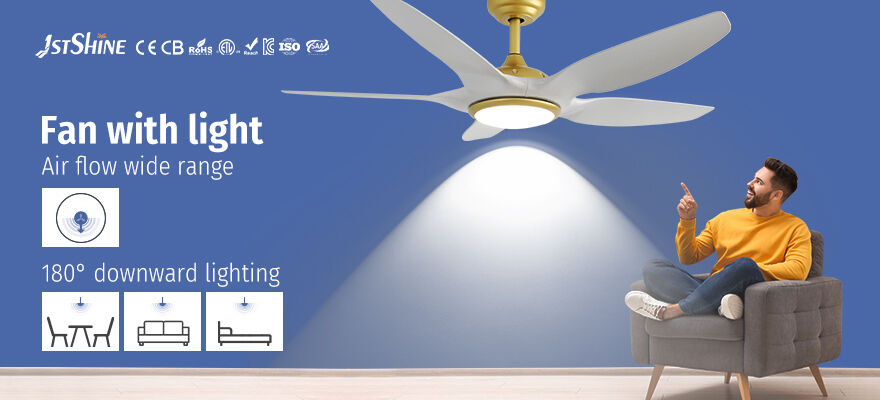 Energy Efficiency and Sustainability