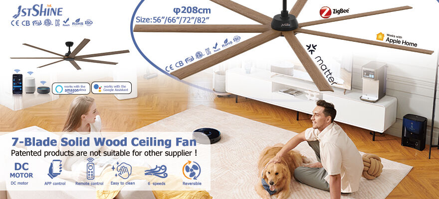 Design épuré pour plafonds bas