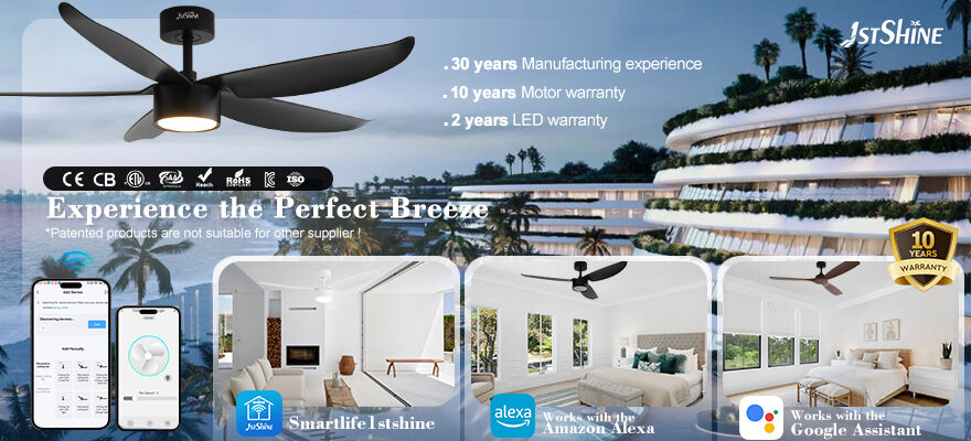 Des designs personnalisables pour tous les styles