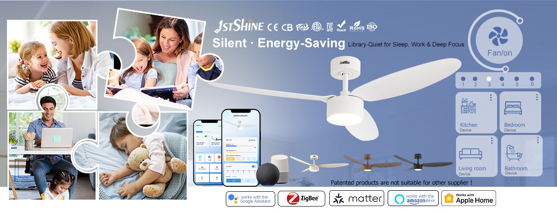 비할 데 없는 미적 매력