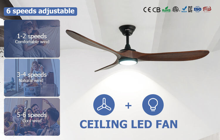 Esthétique personnalisable