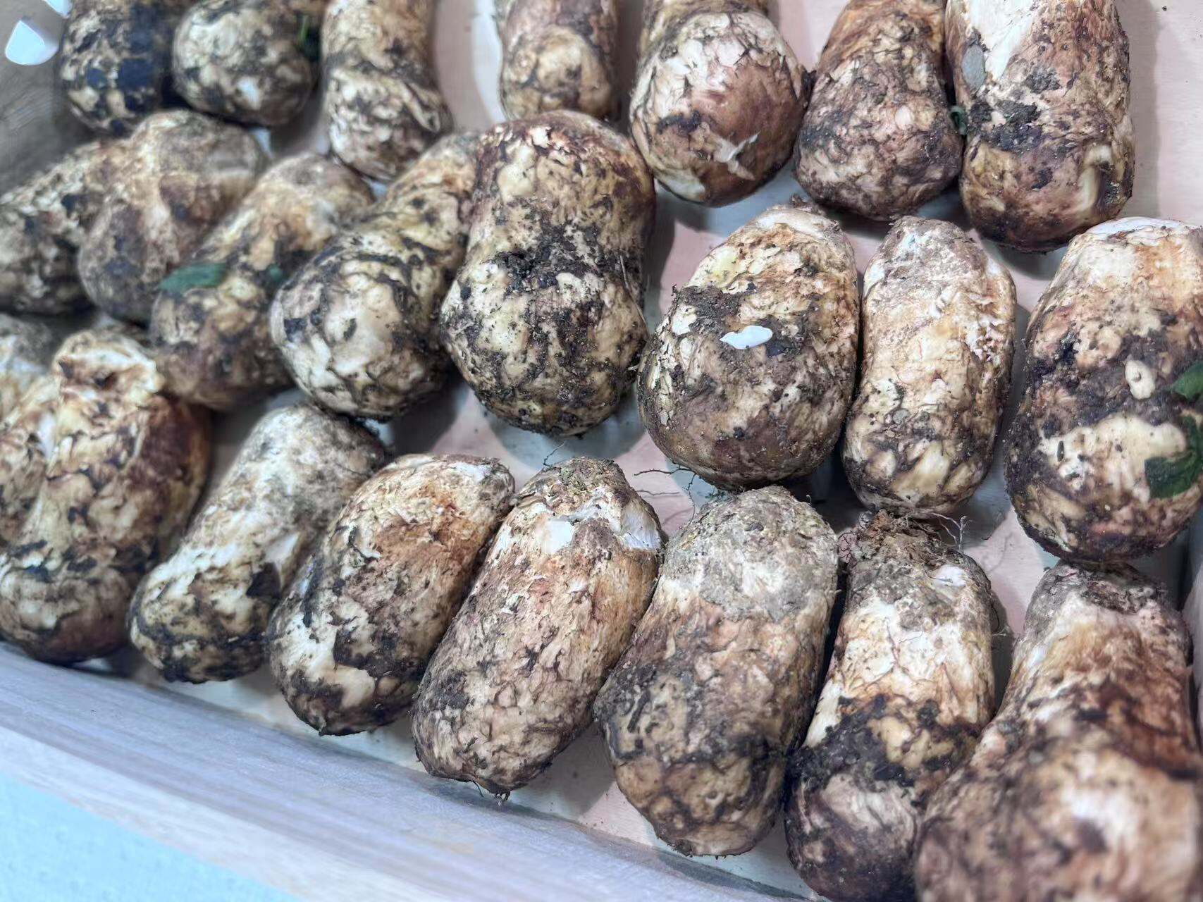 How does cold chain ensure Matsutake freshness on arrival?