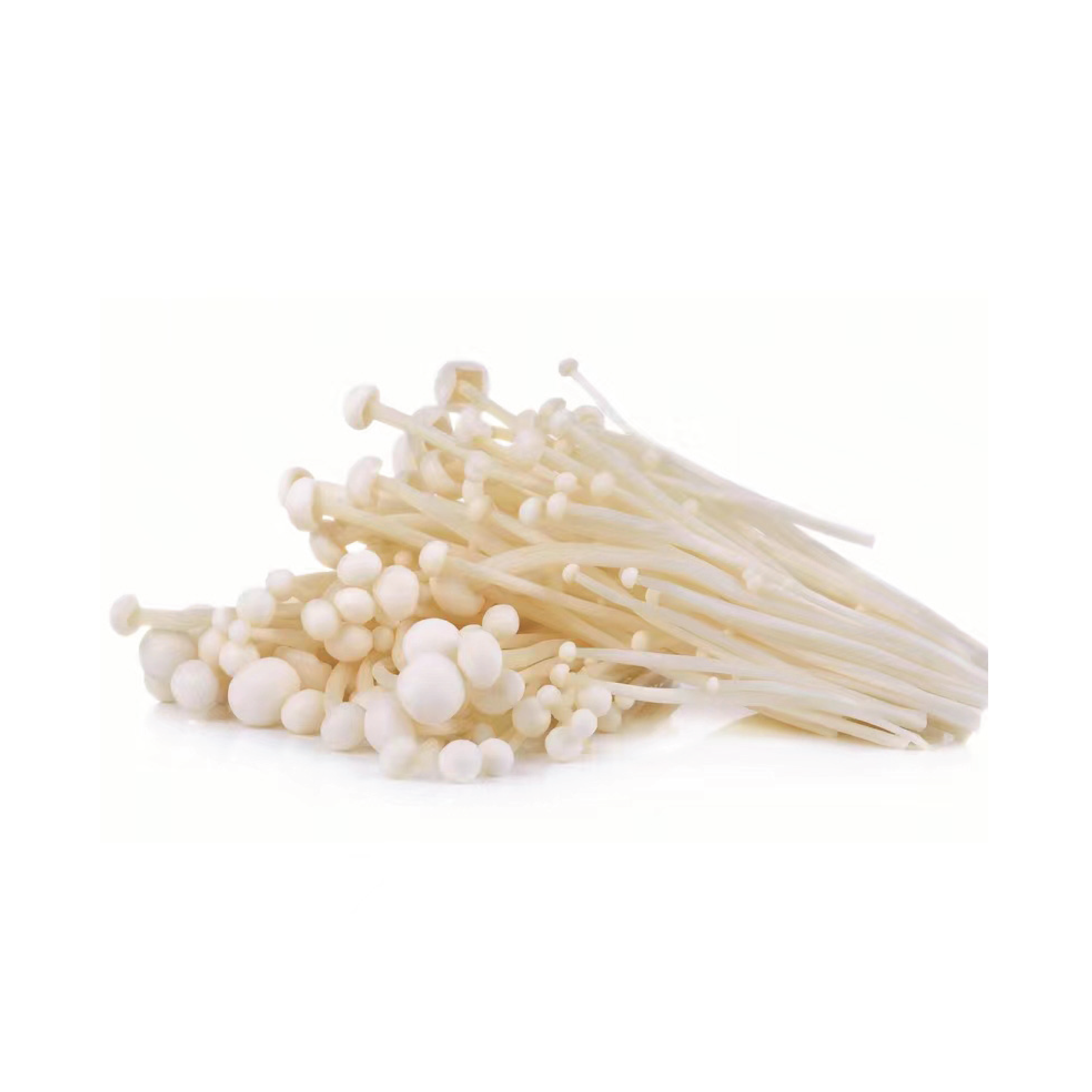 Grzyb enoki