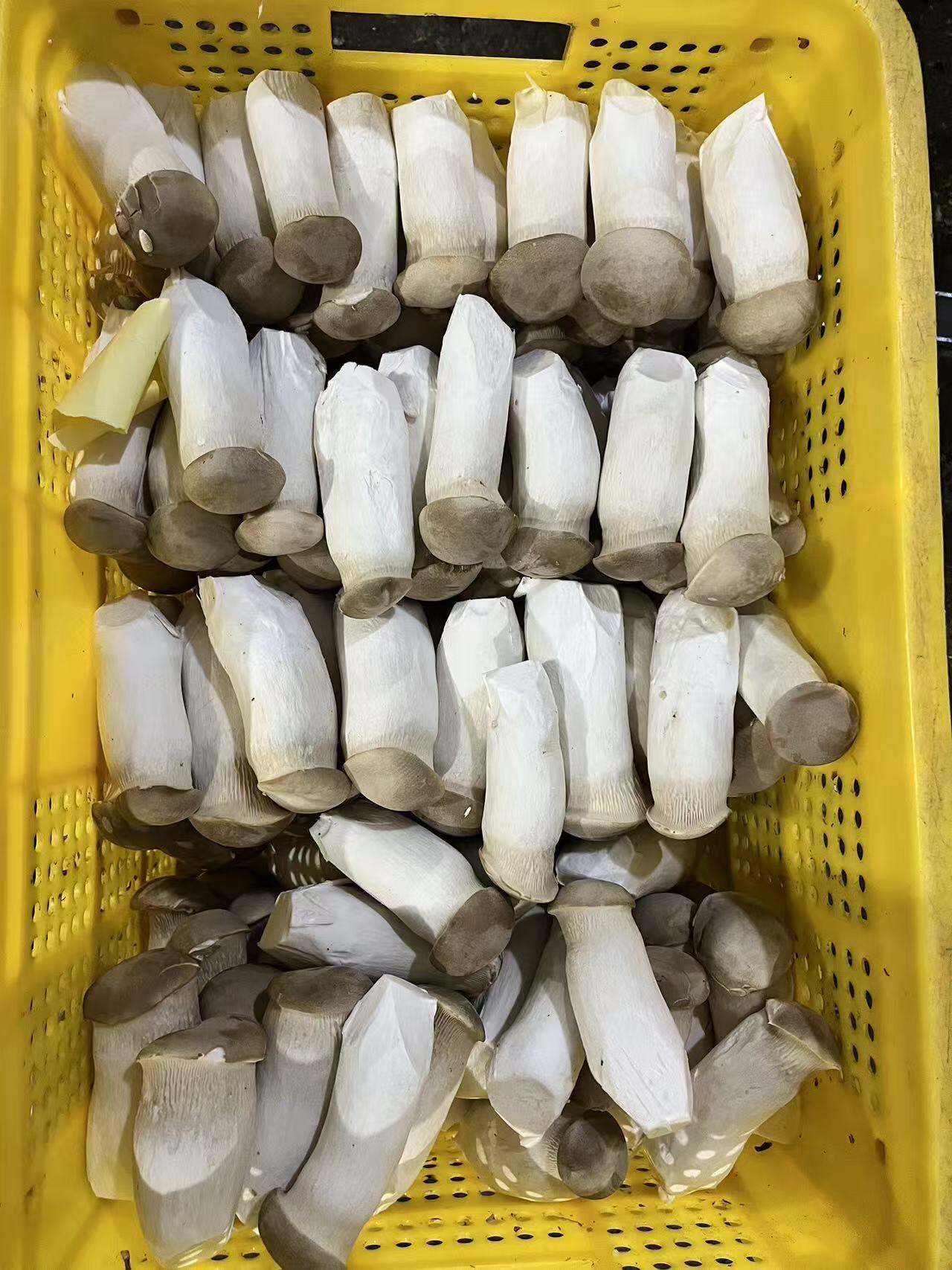 Milyen előnyökkel rendelkezik a királyi oyster gomba a kiszolgálásban?