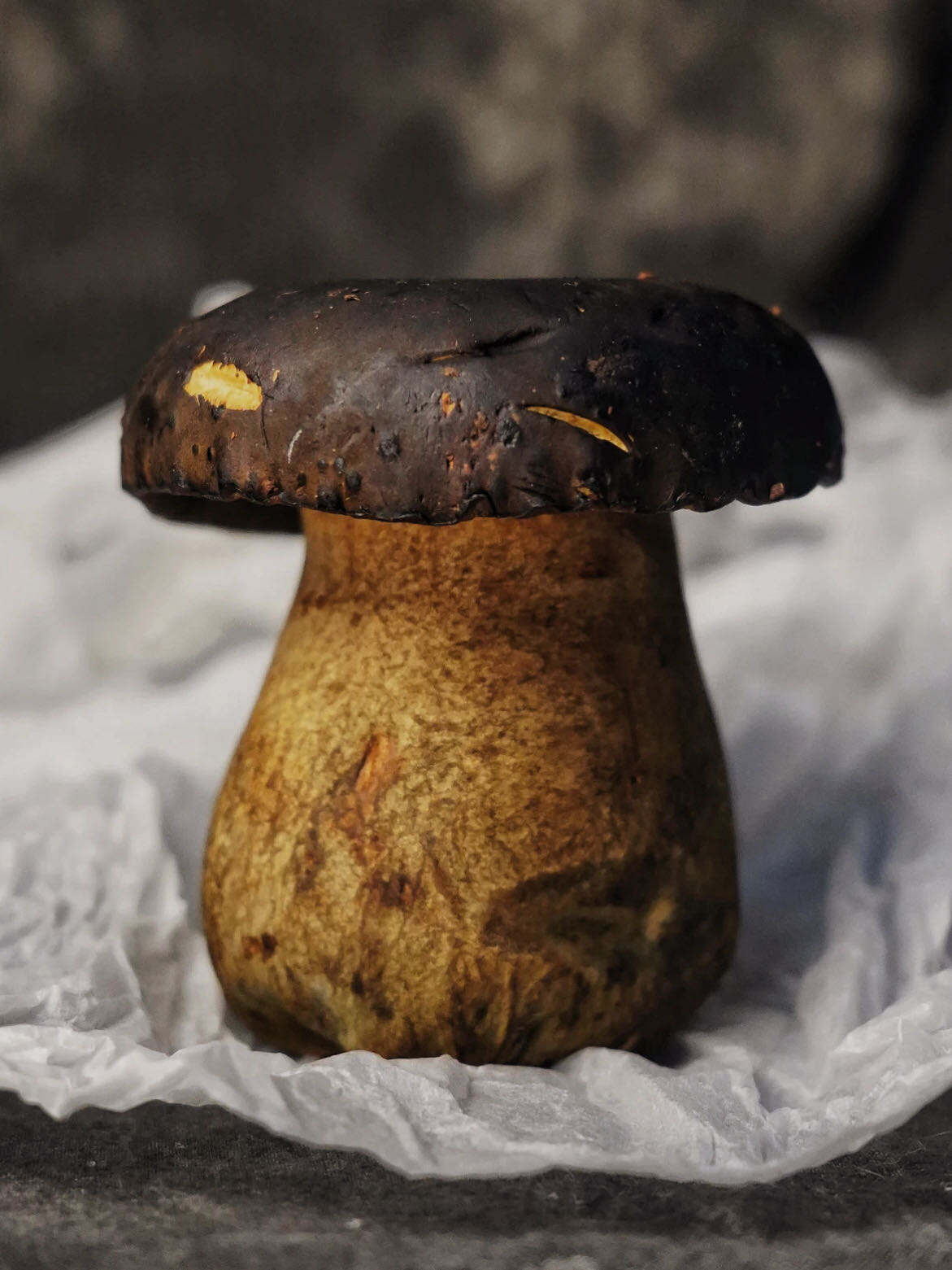 Utilizzo Prolungato nella Cucina Tradizionale